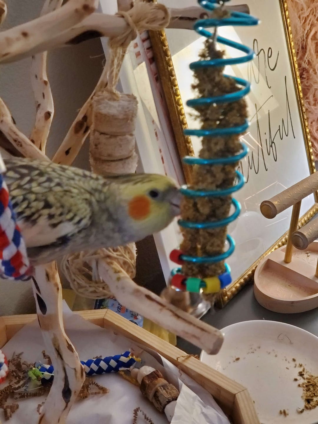 Millet Holder Bird Small Pet Chew Toy