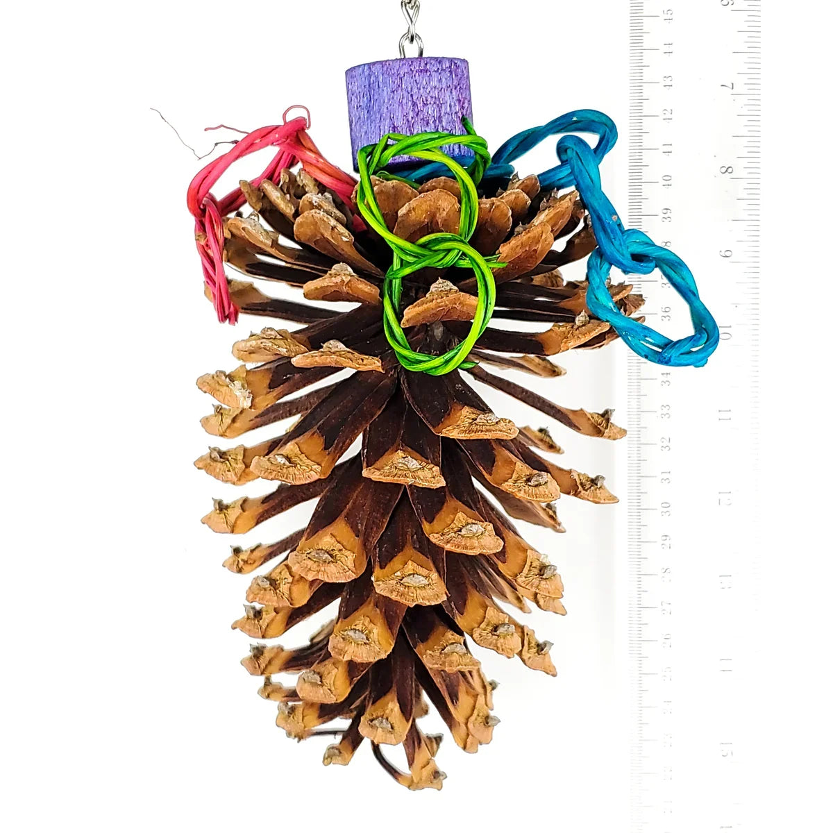 Jumbo Pine Cone Bird Small Pet Chew Toy