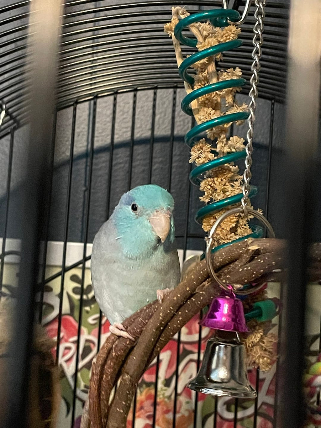 Millet Holder Bird Small Pet Chew Toy