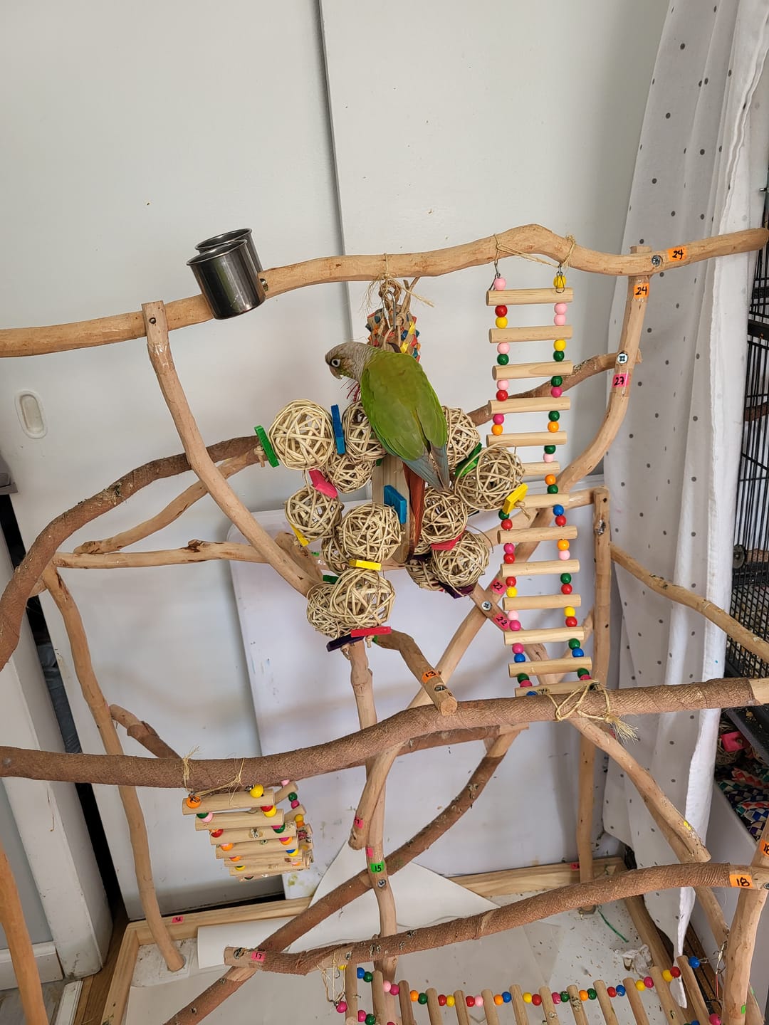 Paddle Ball-Double Size Bird Small Pet Chew Toy