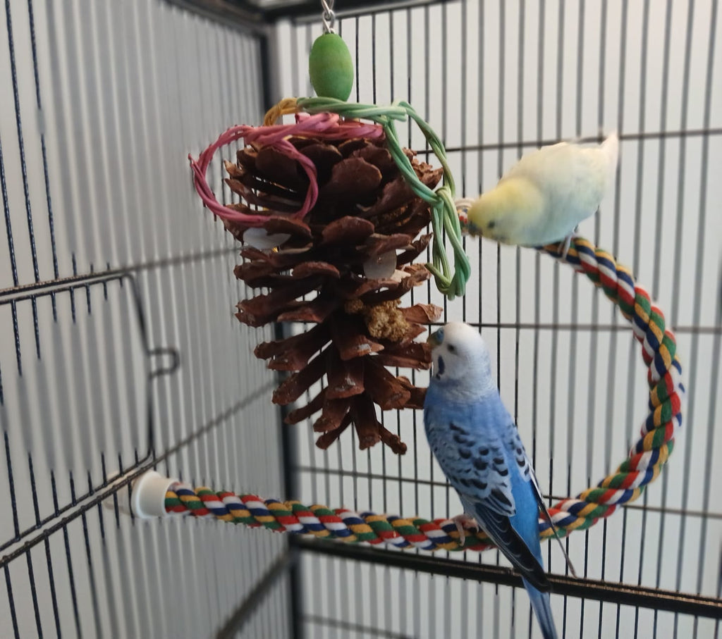 Jumbo Pine Cone Bird Small Pet Chew Toy